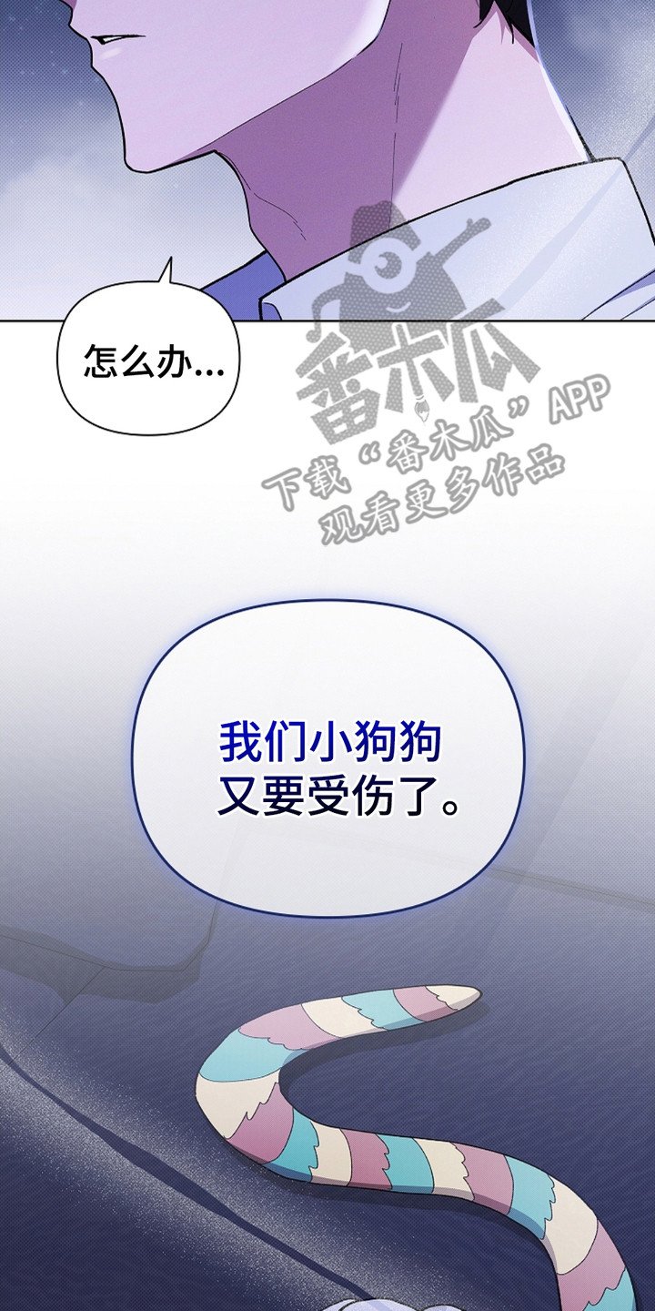 第19章：采耳