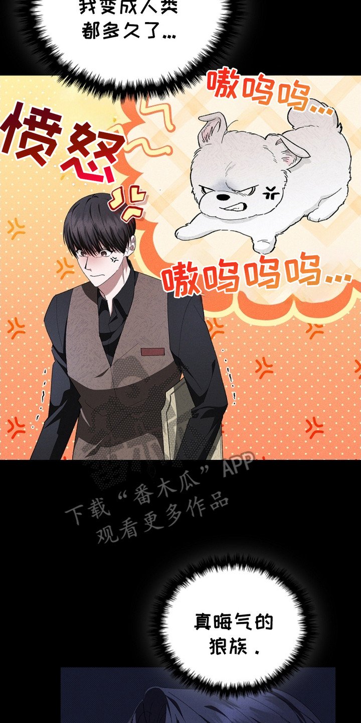 第2章：闯祸了
