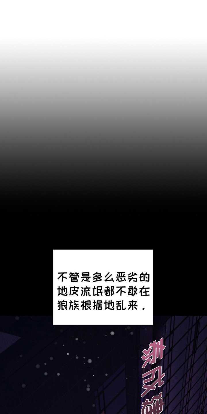 第20章：恢复很快
