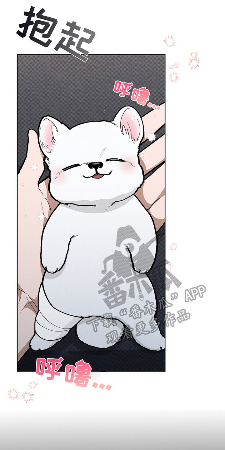第20章：恢复很快