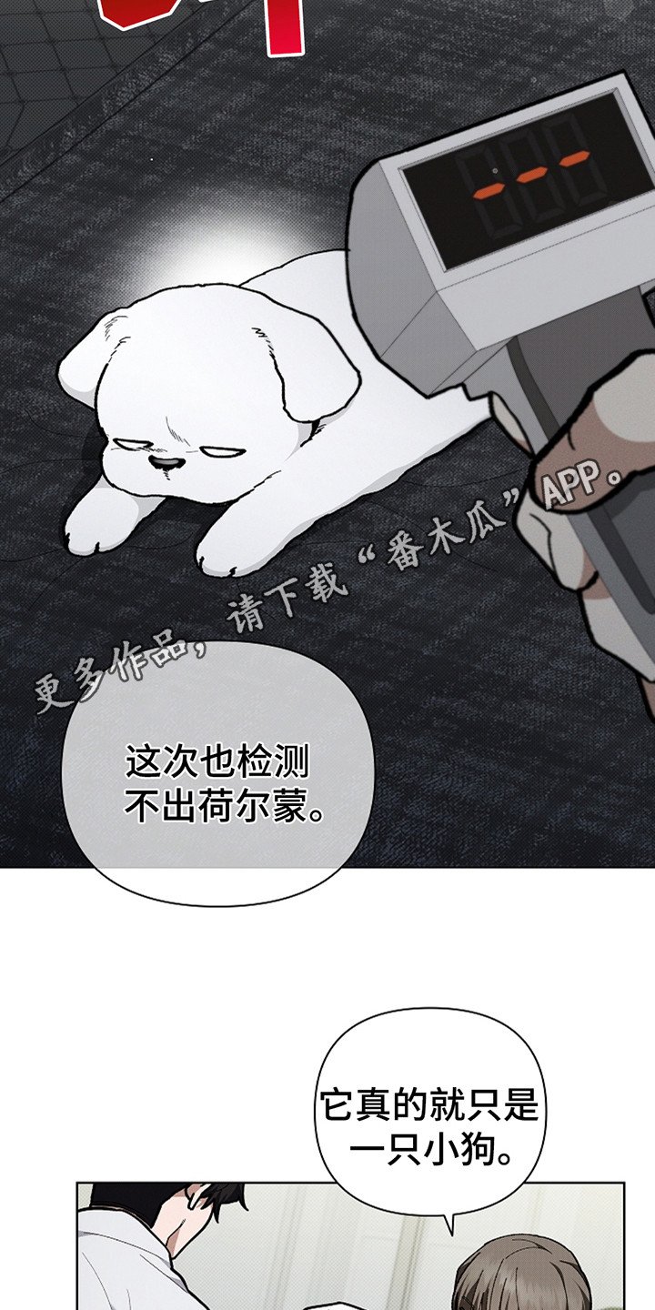 第20章：恢复很快