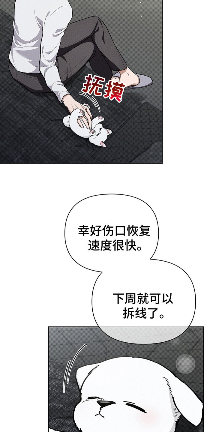 第20章：恢复很快