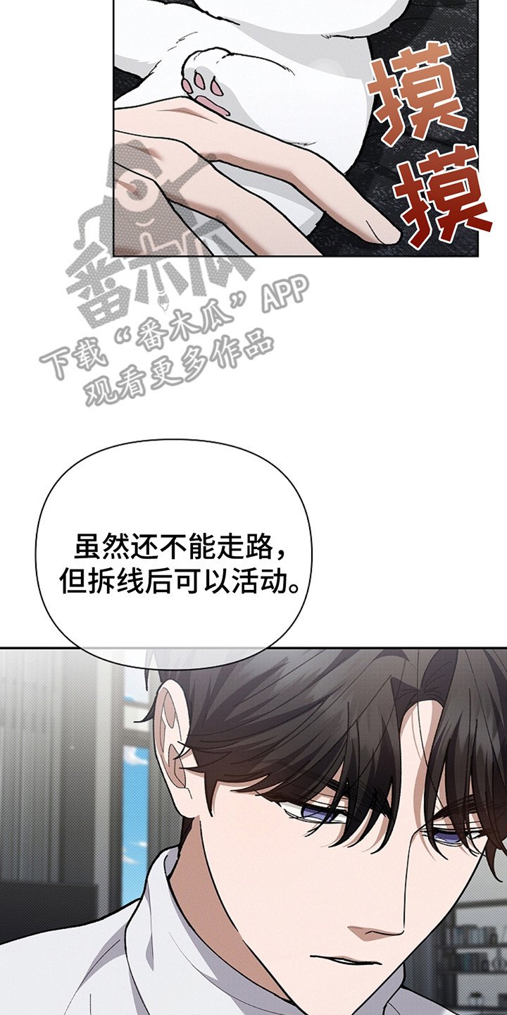 第20章：恢复很快