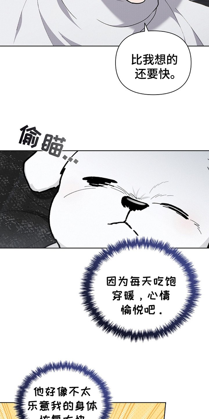 第20章：恢复很快