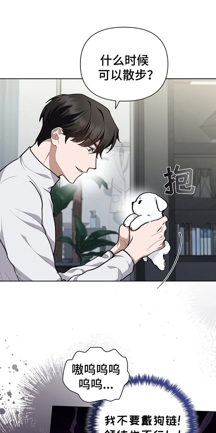 第20章：恢复很快