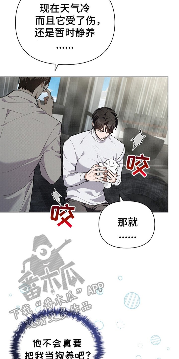 第20章：恢复很快