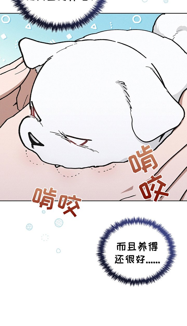 第20章：恢复很快