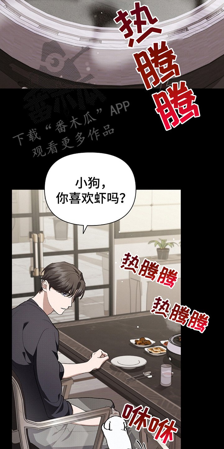 第21章：荷尔蒙