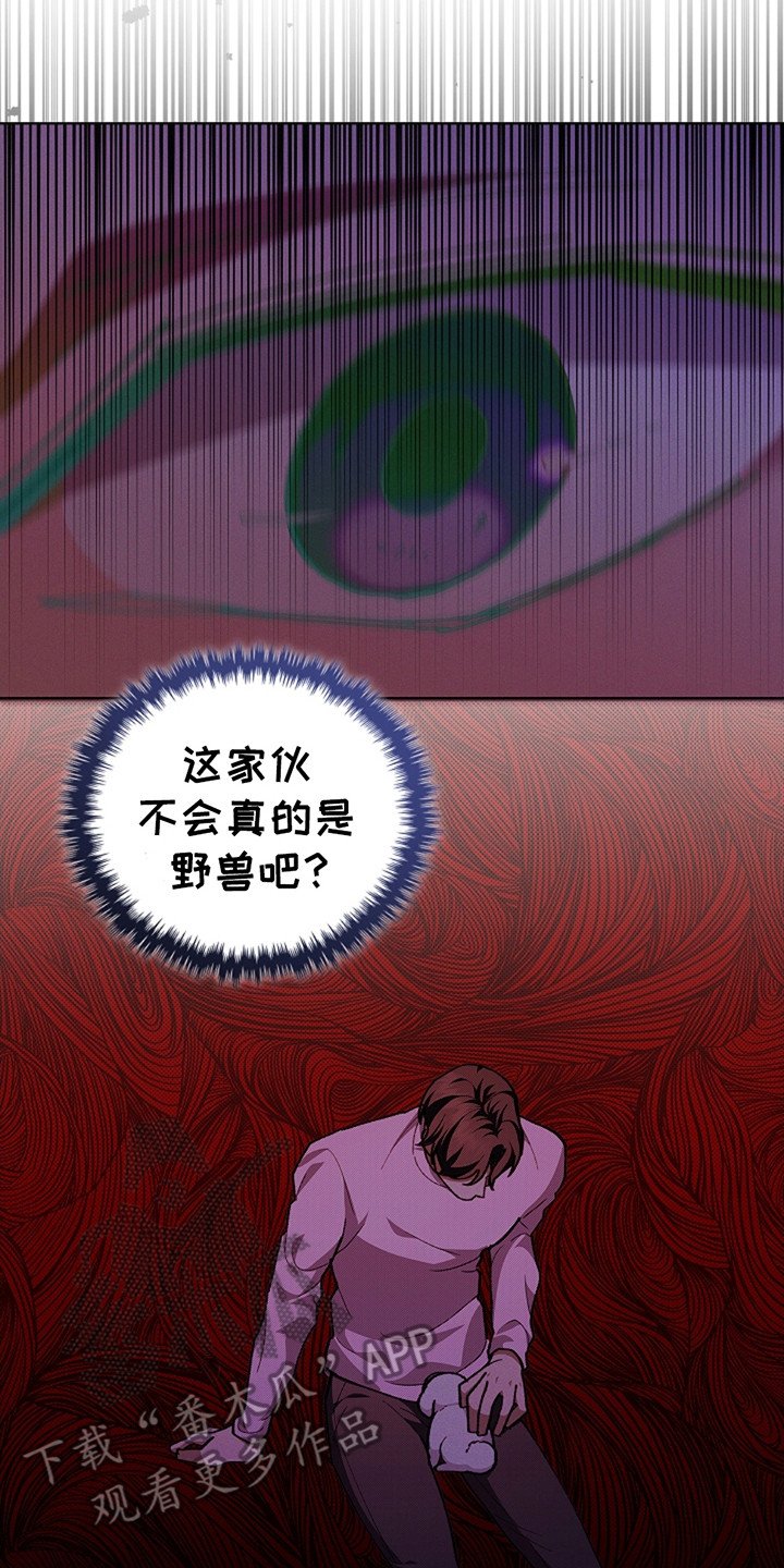 第21章：荷尔蒙