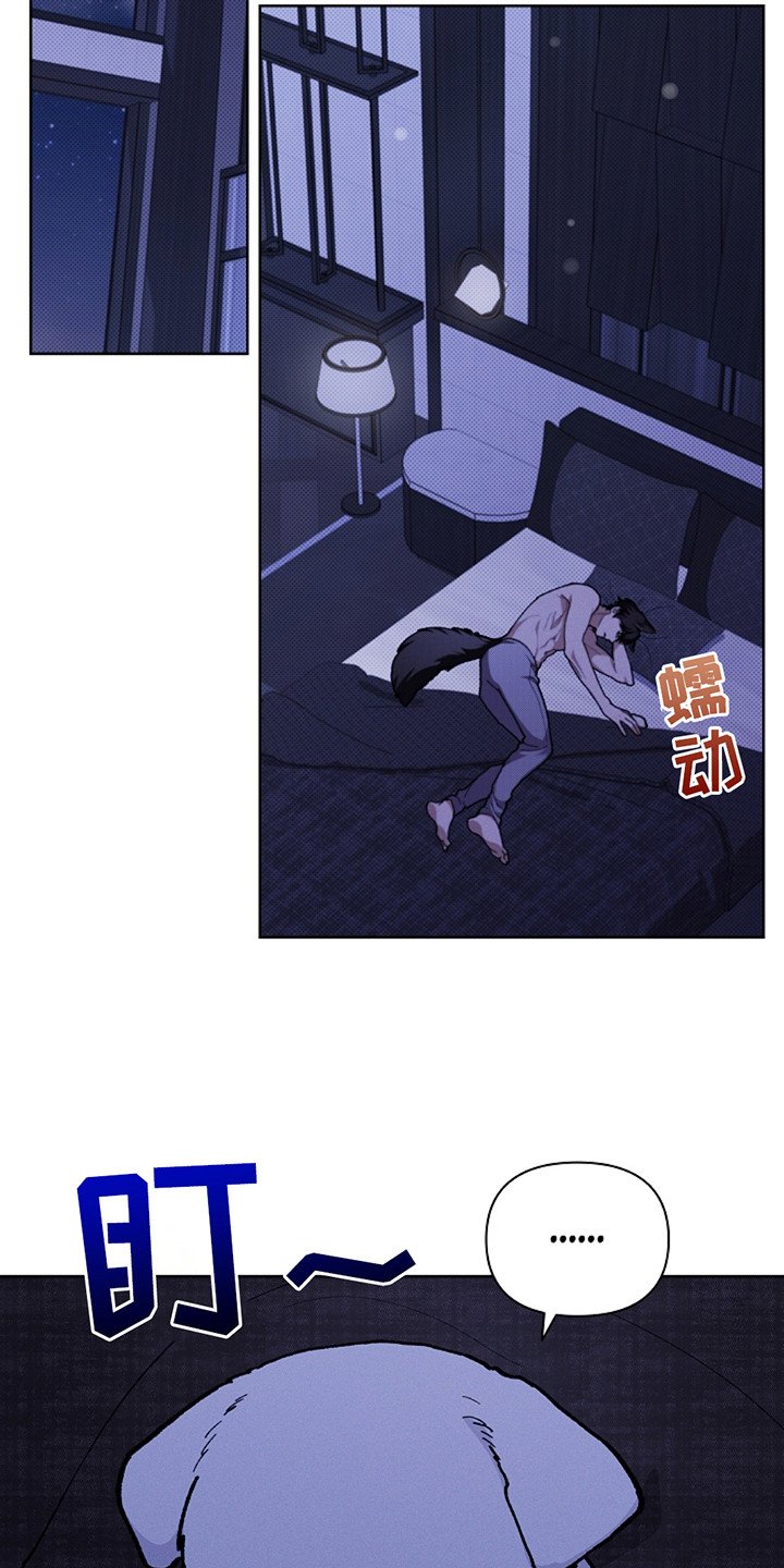 第21章：荷尔蒙