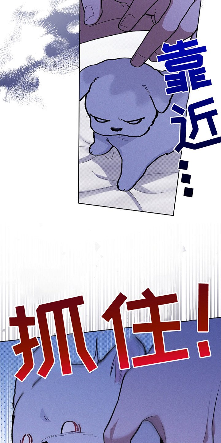 第22章：忍耐