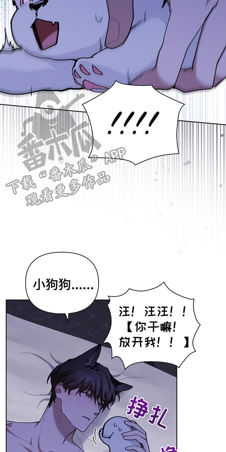 第22章：忍耐