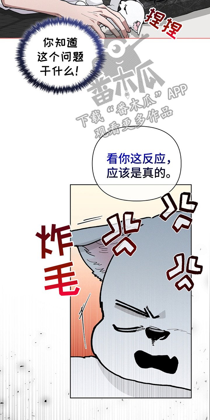 第24章：嫉妒