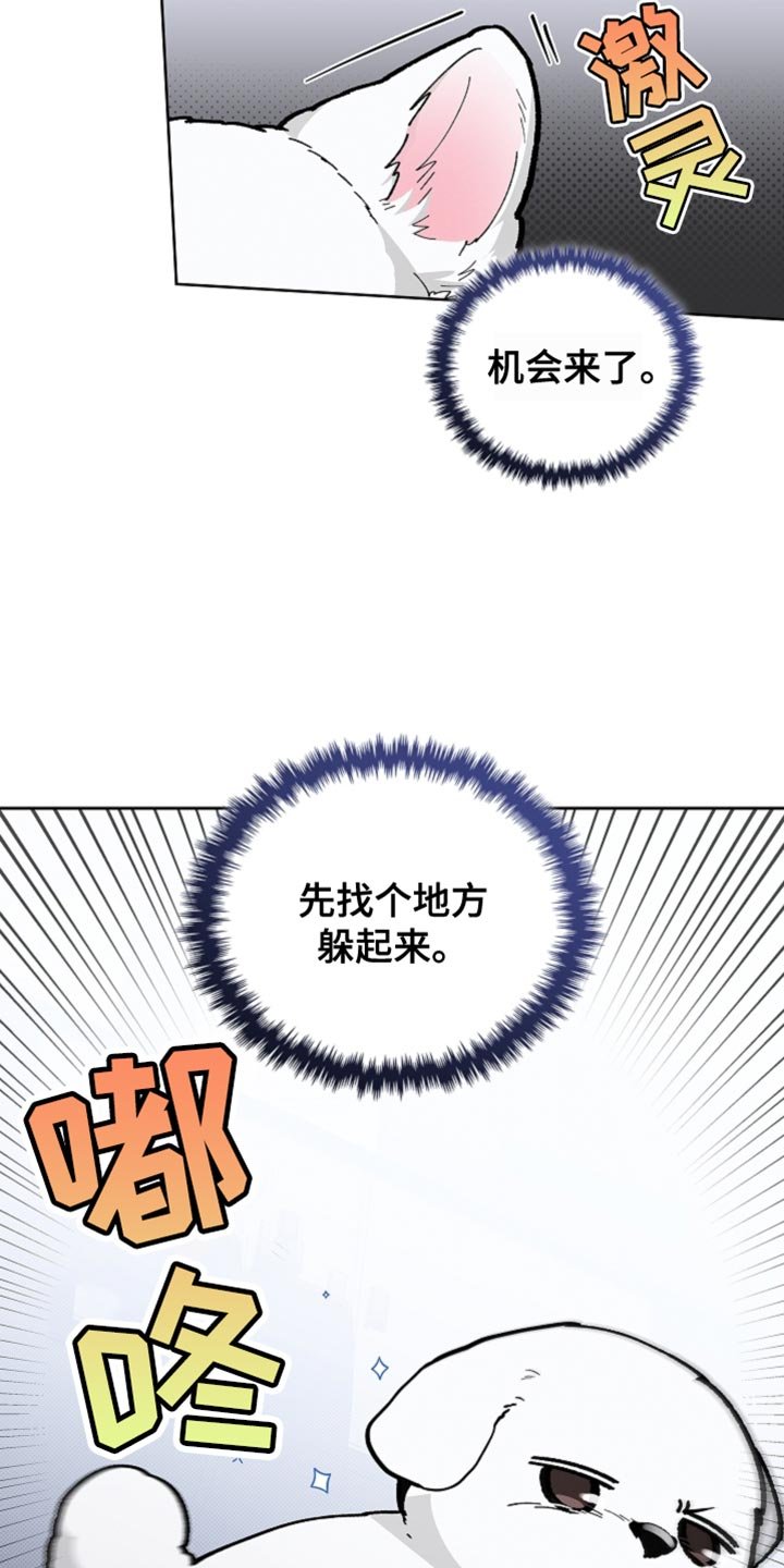 第26章：喜欢的食物