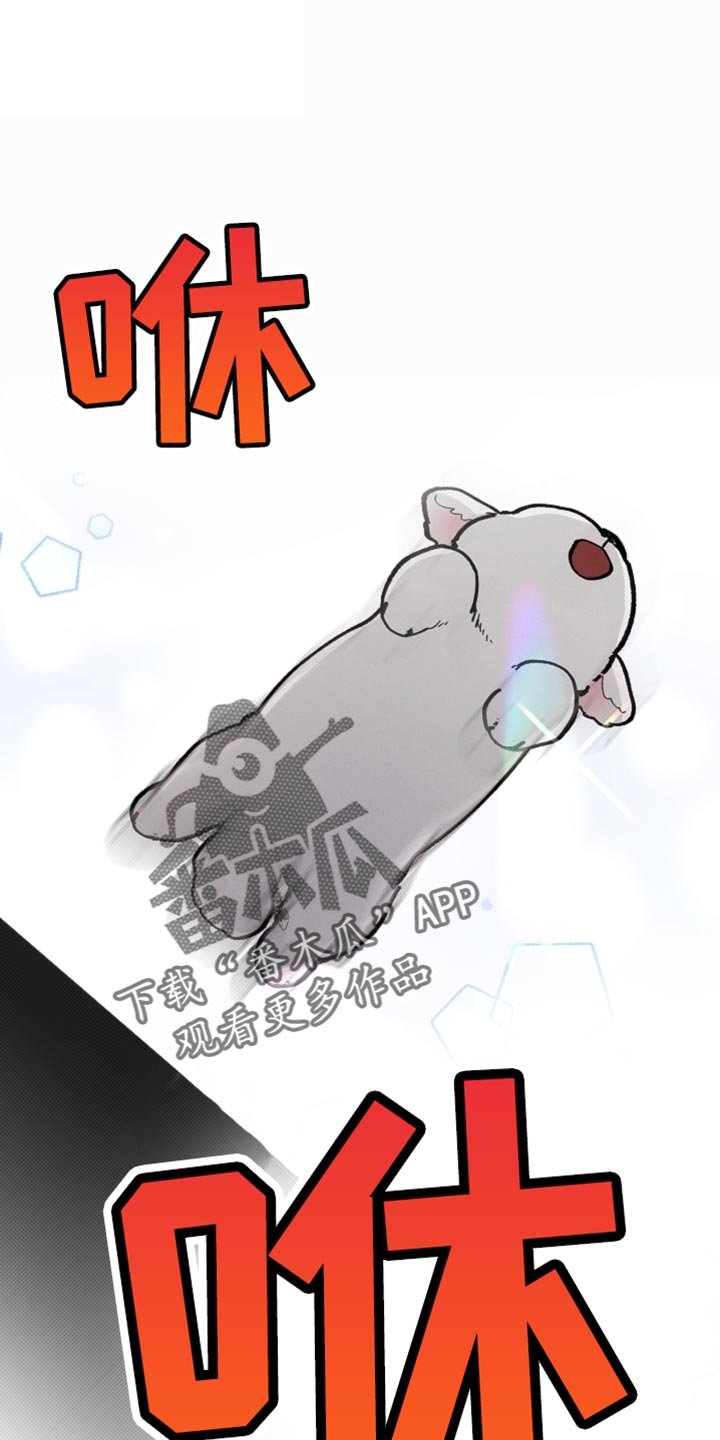 第26章：喜欢的食物