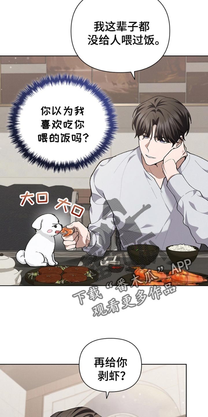 第28章：有点可怜