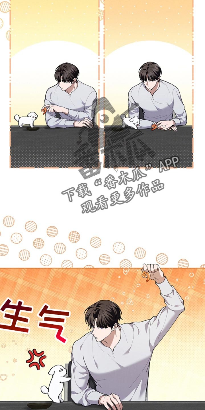 第28章：有点可怜