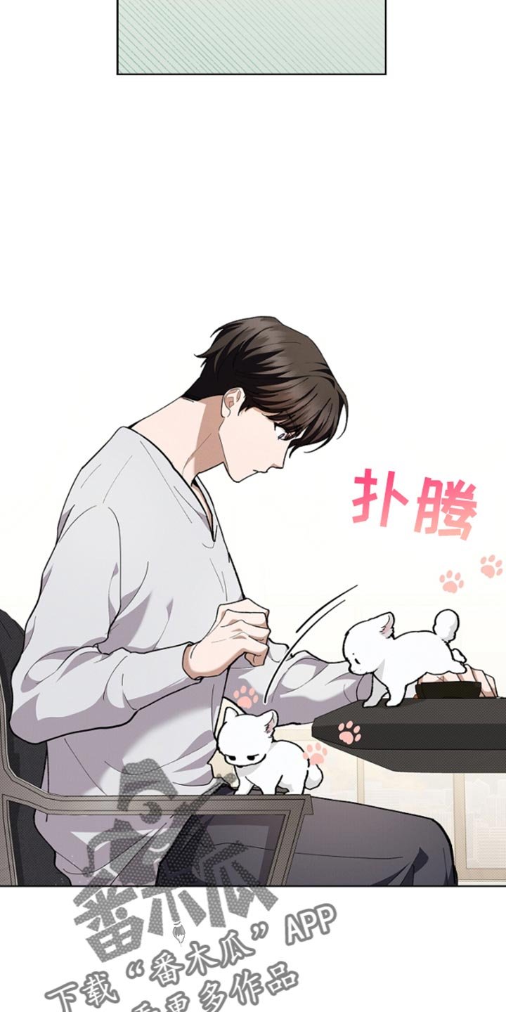 第29章：监视者