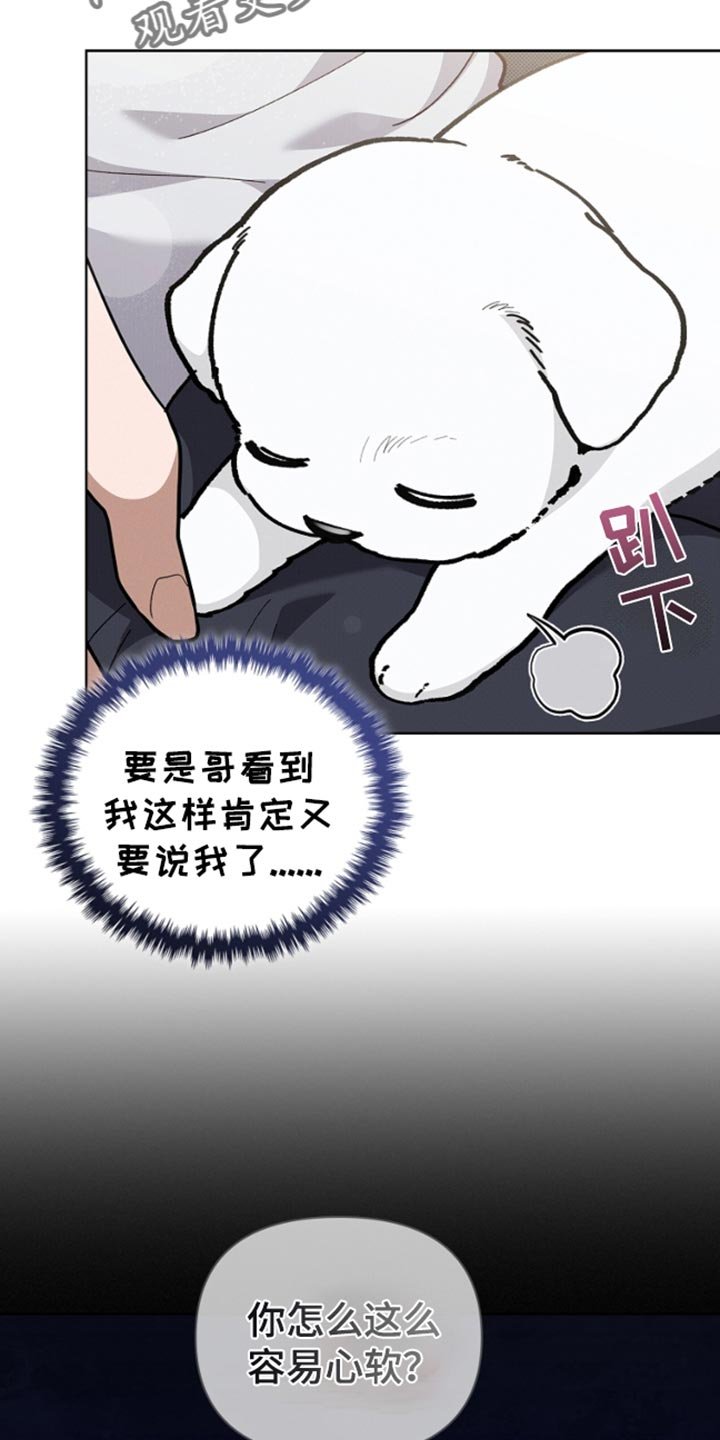 第29章：监视者