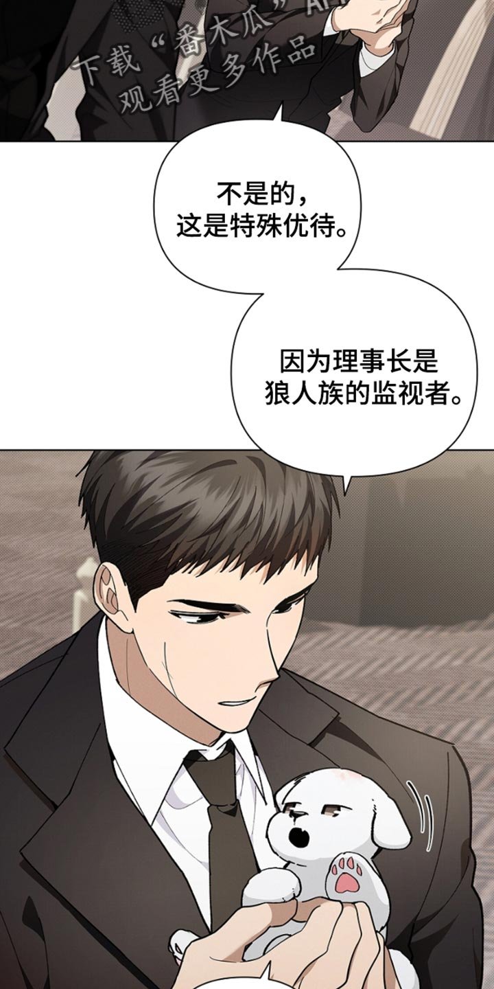 第29章：监视者