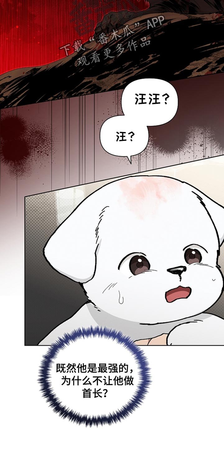 第30章：别垂头丧气