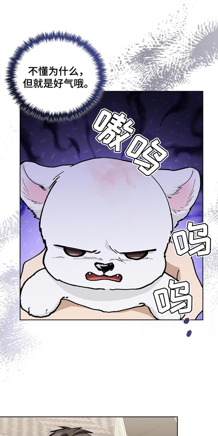 第30章：别垂头丧气