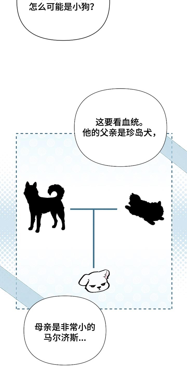 第31章：我猜对了