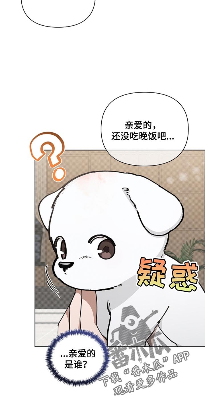 第33章：亲爱的