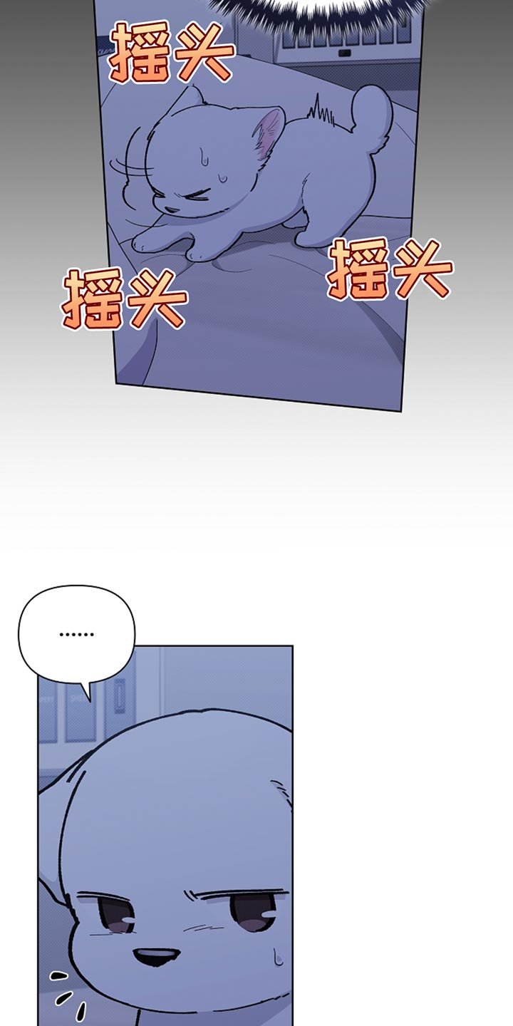 第34章：你也会喜欢我了吧？