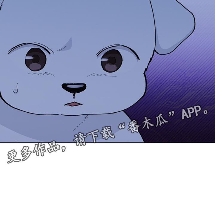 第34章：你也会喜欢我了吧？
