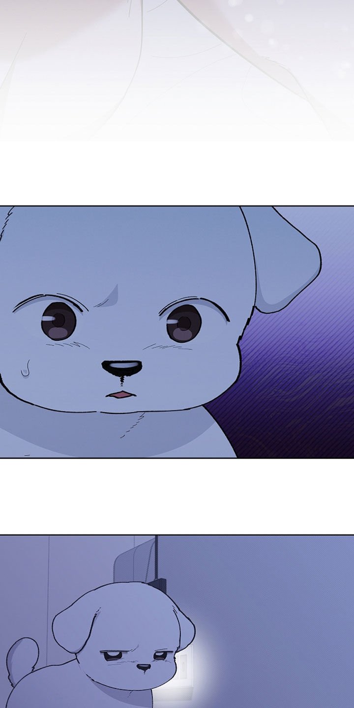 第35章：你算什么东西