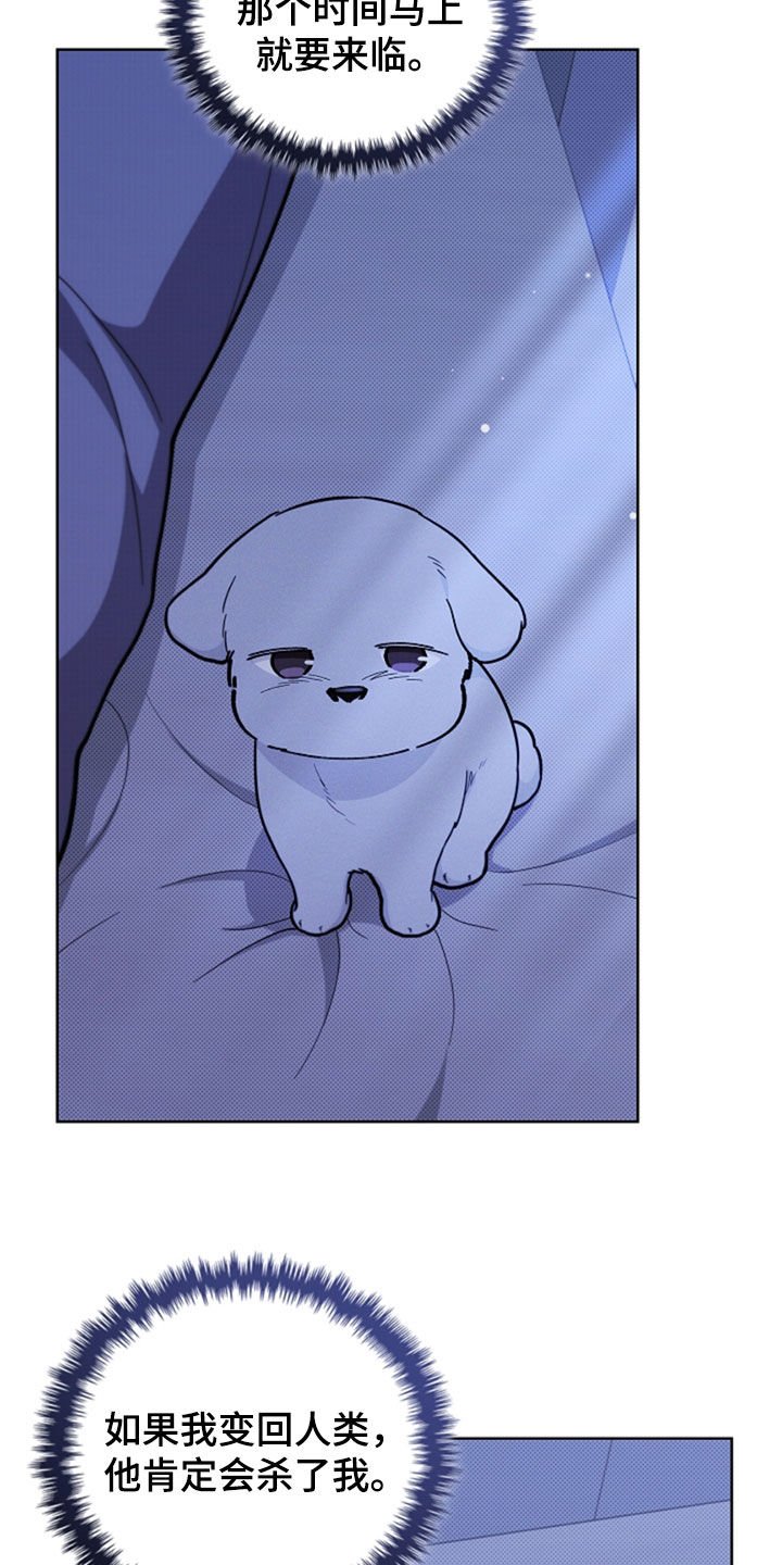 第35章：你算什么东西