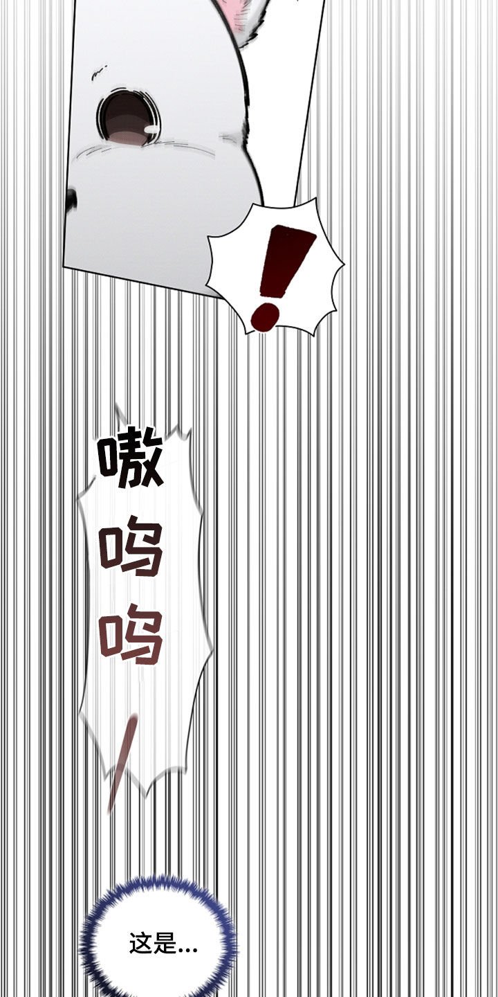 第35章：你算什么东西