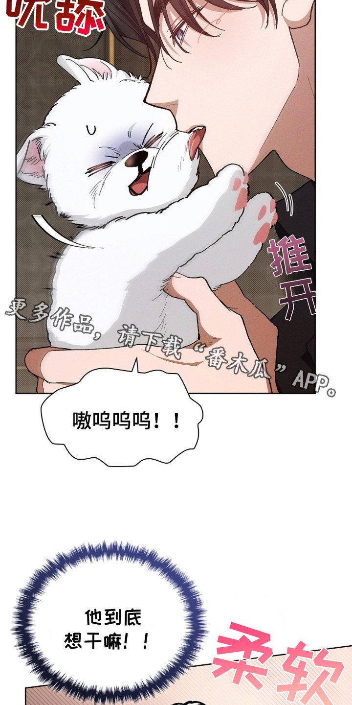 第4章：小零食