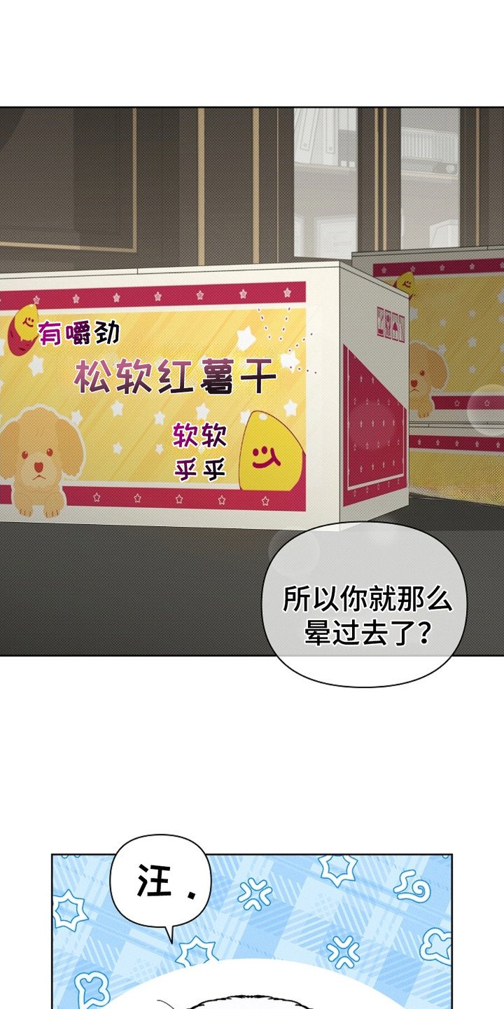 第4章：小零食