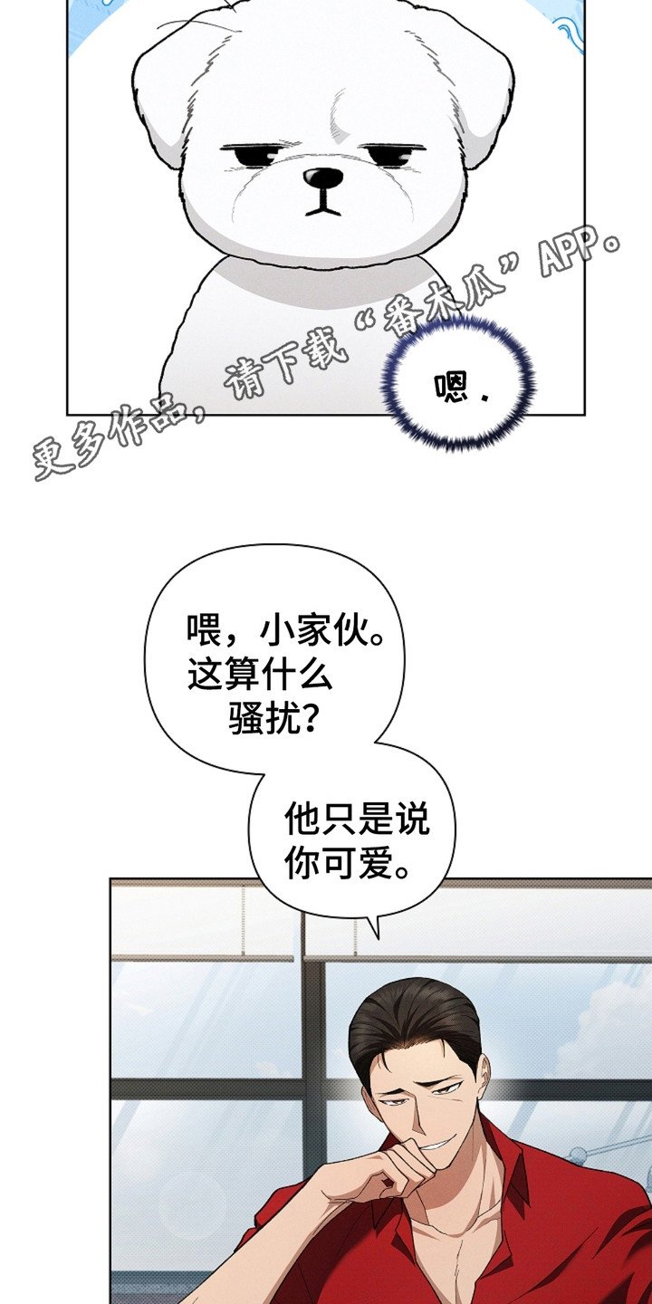 第4章：小零食