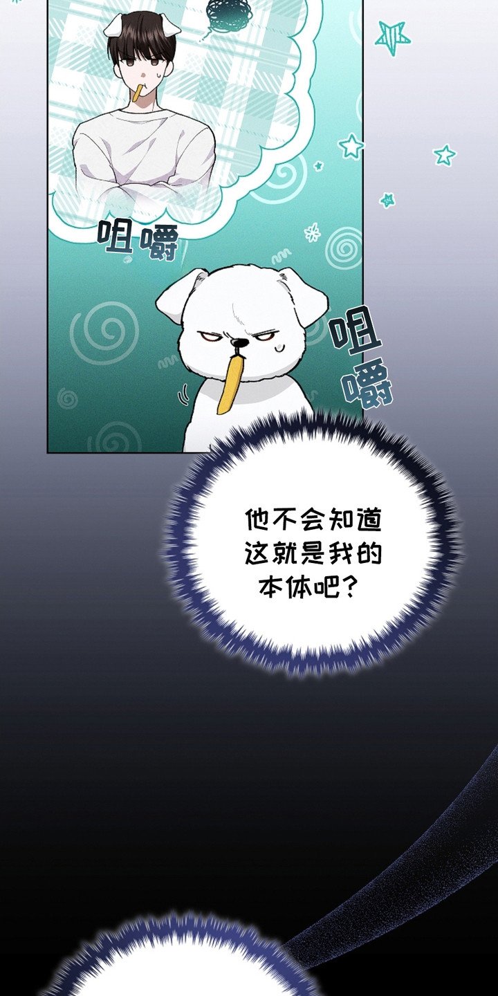 第4章：小零食