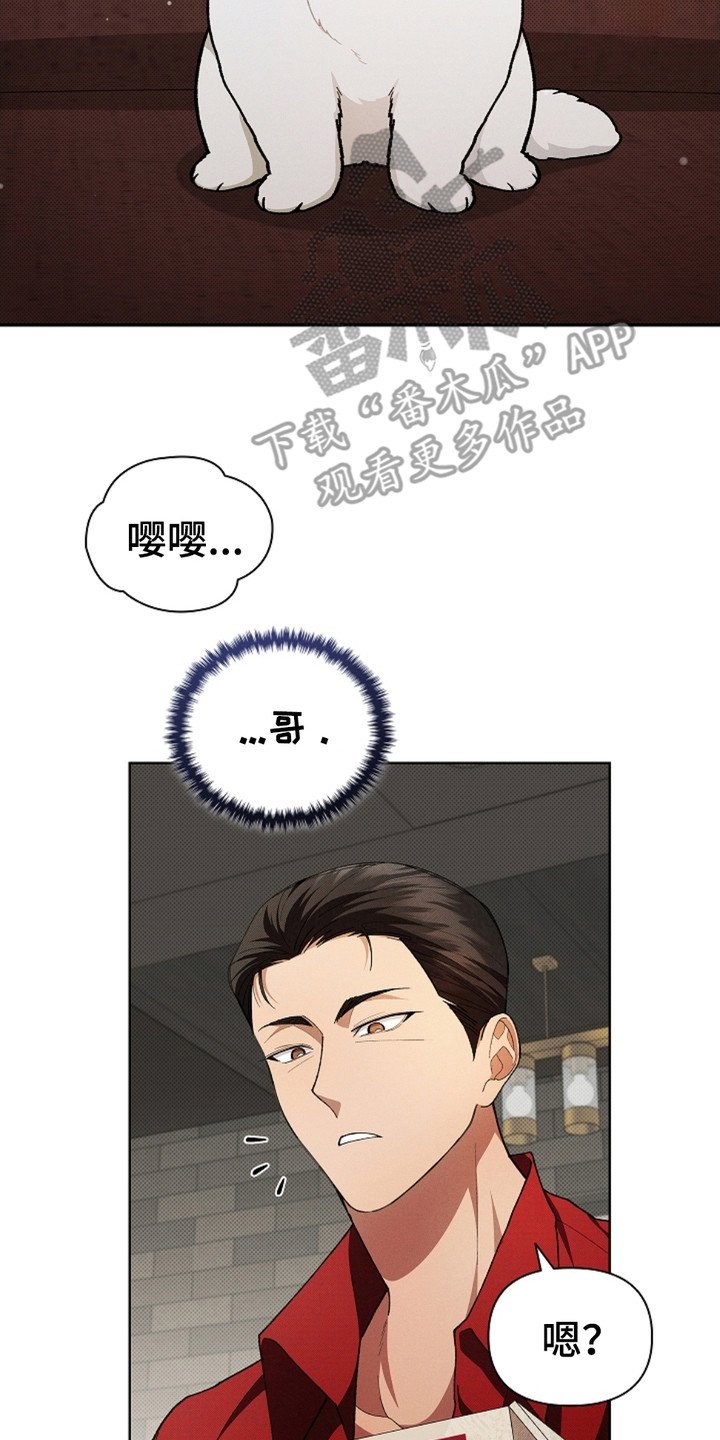 第4章：小零食