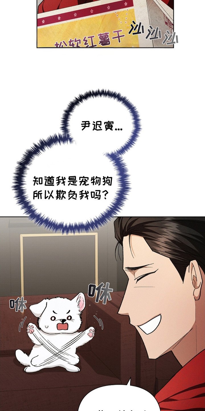 第4章：小零食
