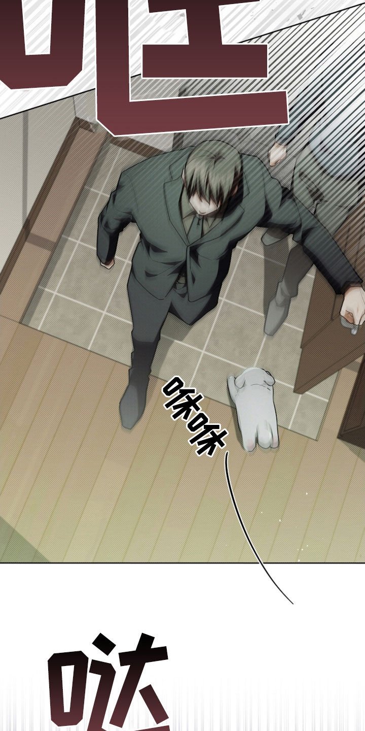 第40章：逃跑