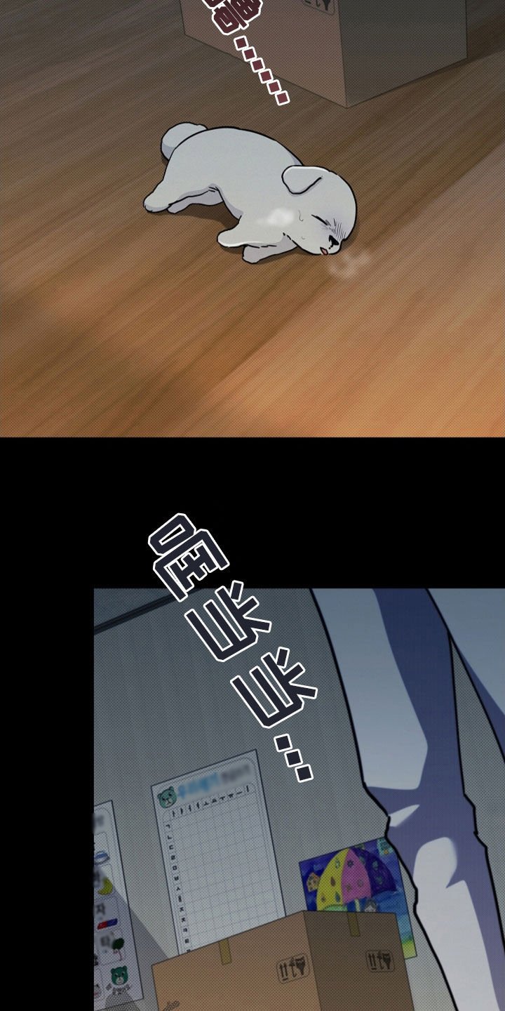 第41章：体弱多病
