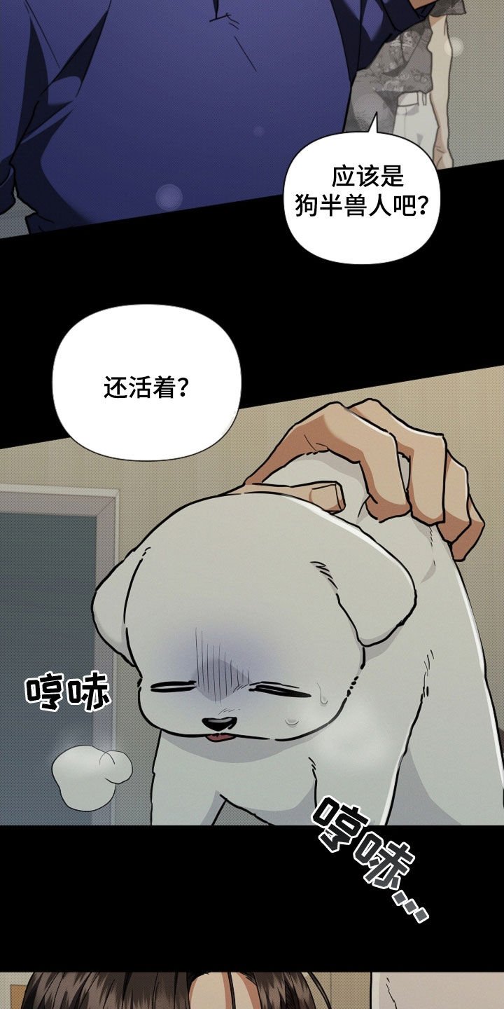 第41章：体弱多病