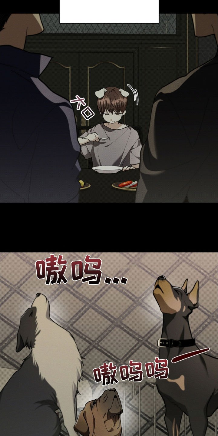 第41章：体弱多病