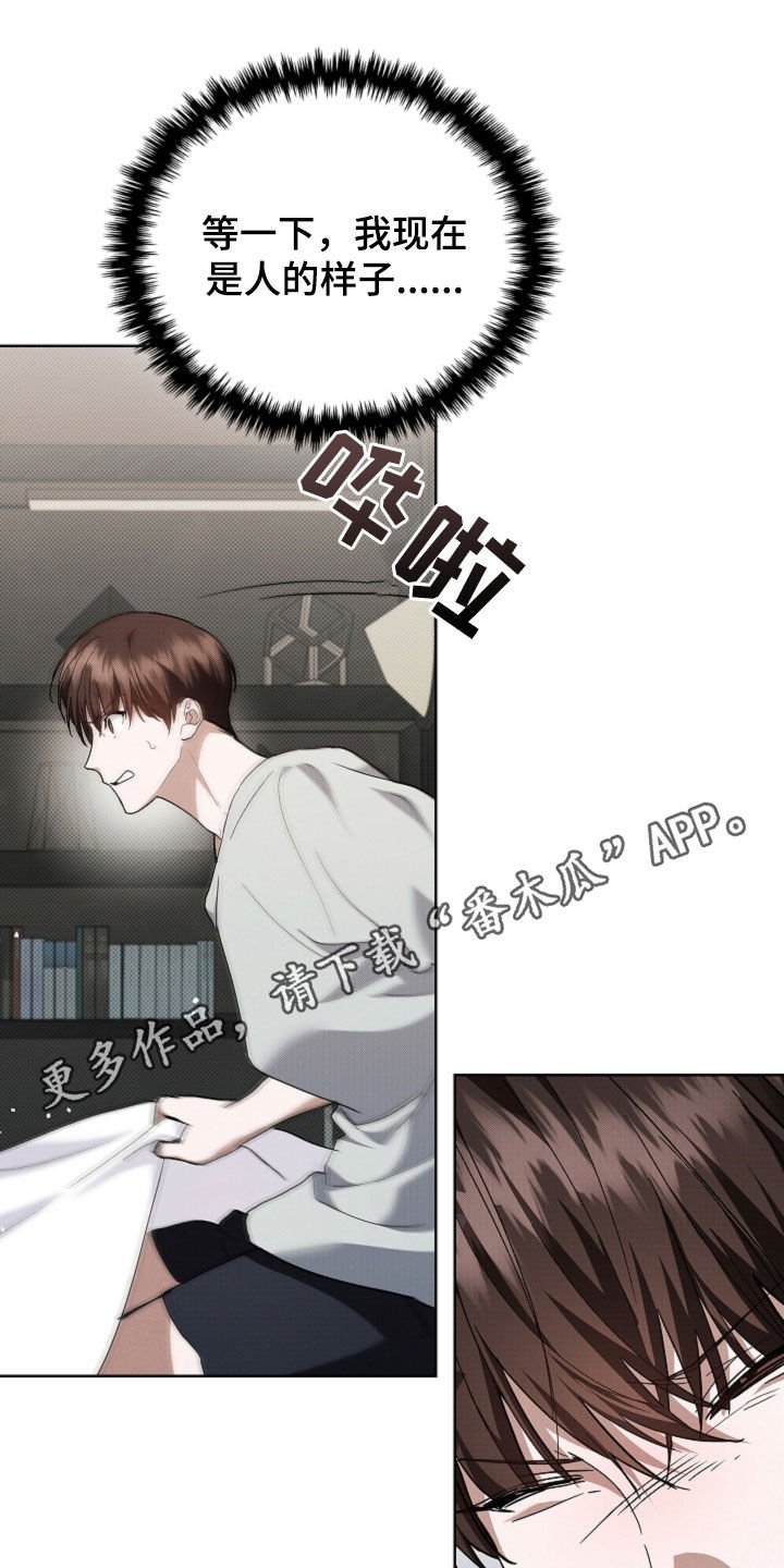 第42章：是不是疯了