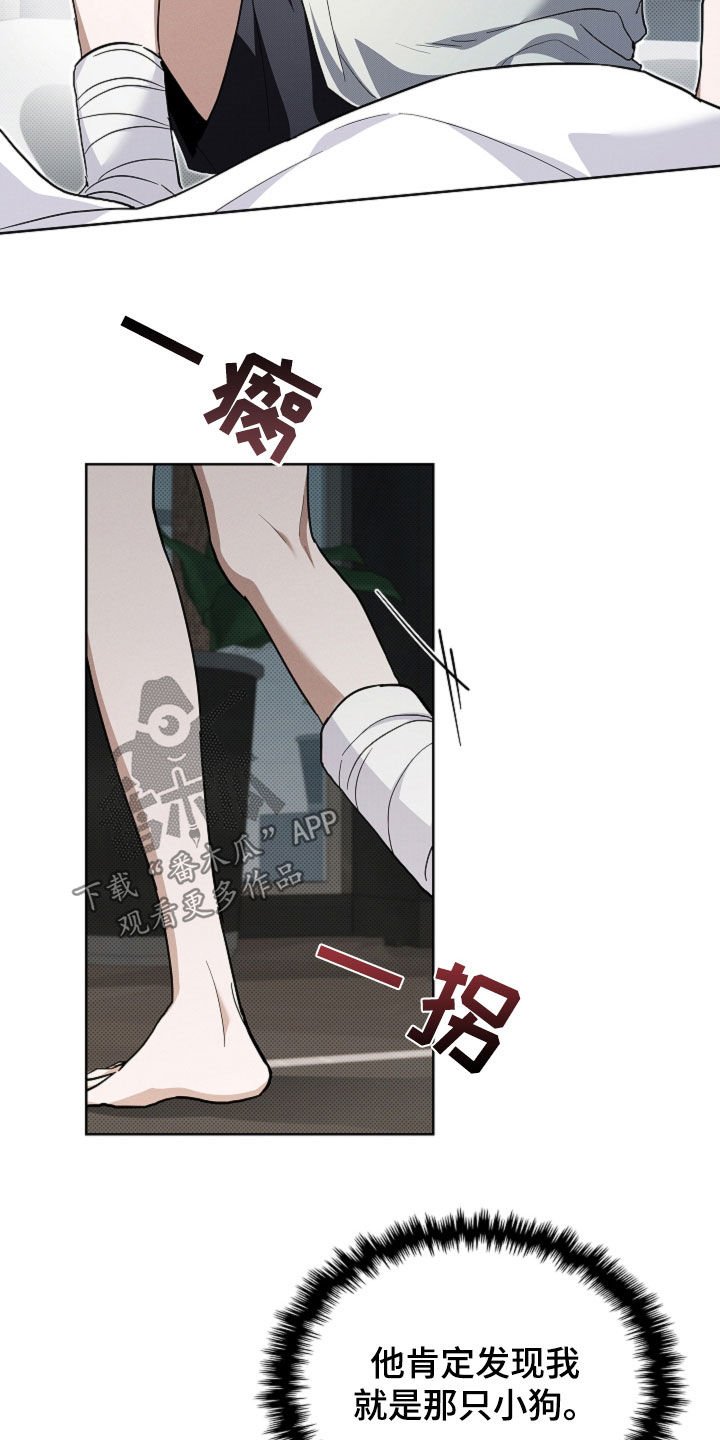 第42章：是不是疯了