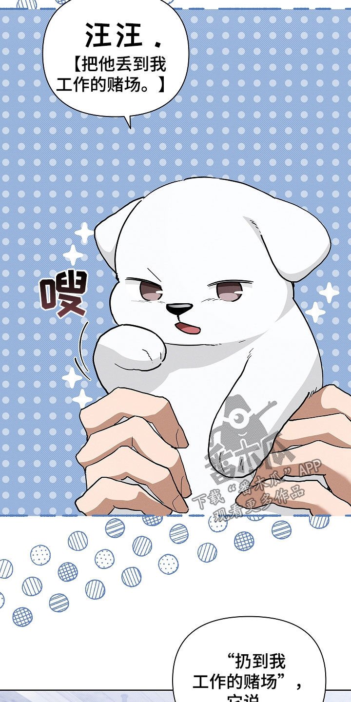 第45章：报仇