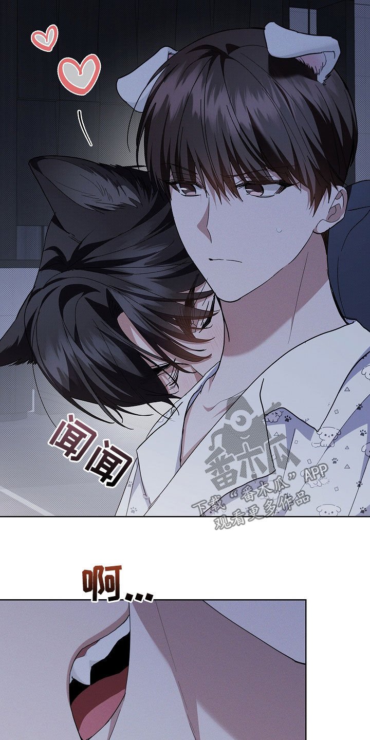 第46章：这是什么