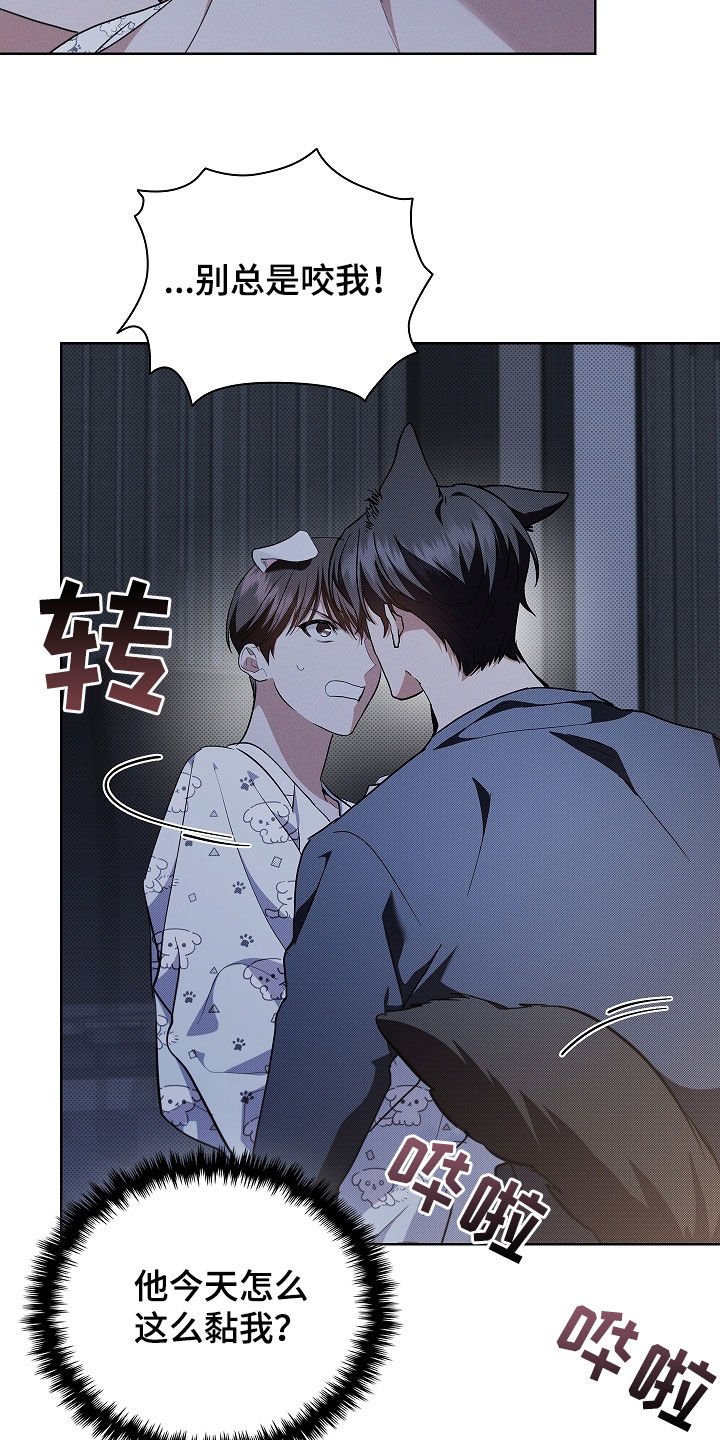 第46章：这是什么
