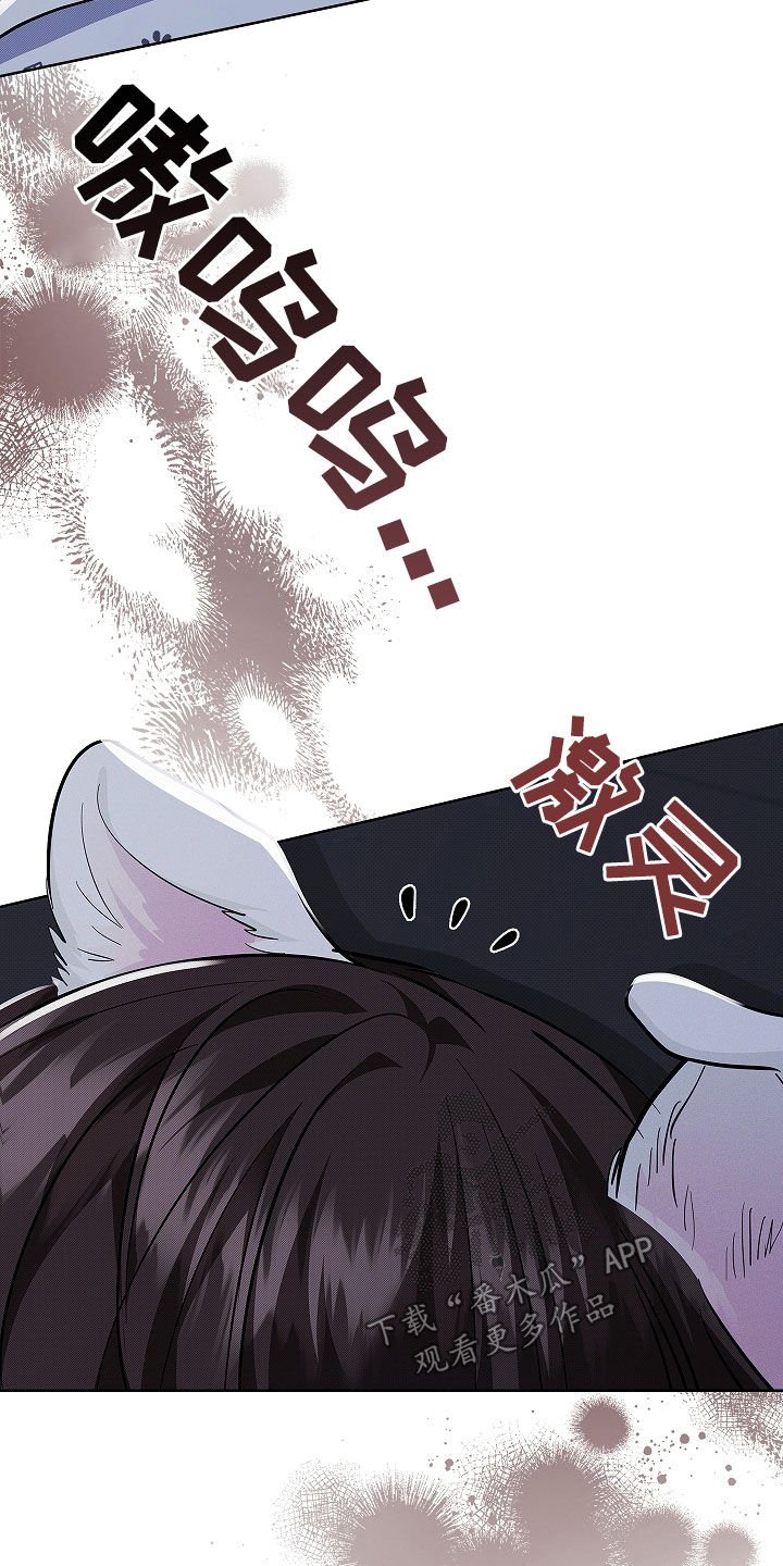 第46章：这是什么