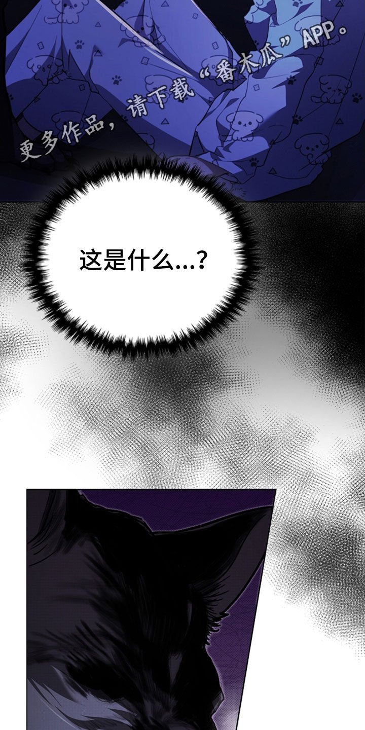 第47章：他想攻击我